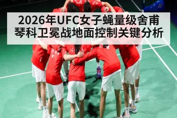 2026年UFC女子蝇量级舍甫琴科卫冕战地面控制关键分析